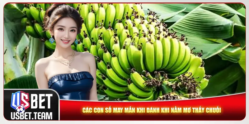 Các con số may mắn khi đánh khi nằm mơ thấy chuối Các con số may mắn khi đánh khi nằm mơ thấy chuối