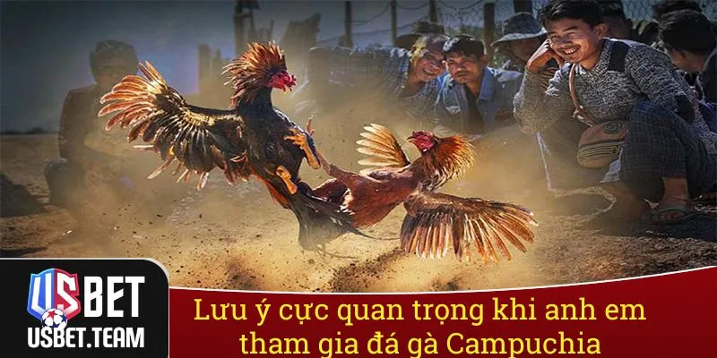 Lưu ý cực quan trọng khi anh em tham gia đá gà Campuchia Lưu ý cực quan trọng khi anh em tham gia đá gà Campuchia